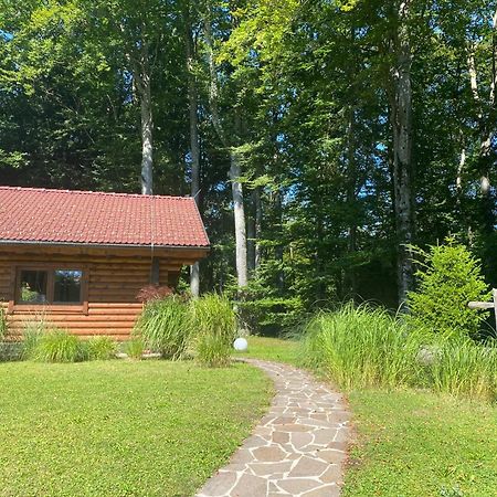 Huette Am Wald Villa Hof bei Salzburg Exterior foto