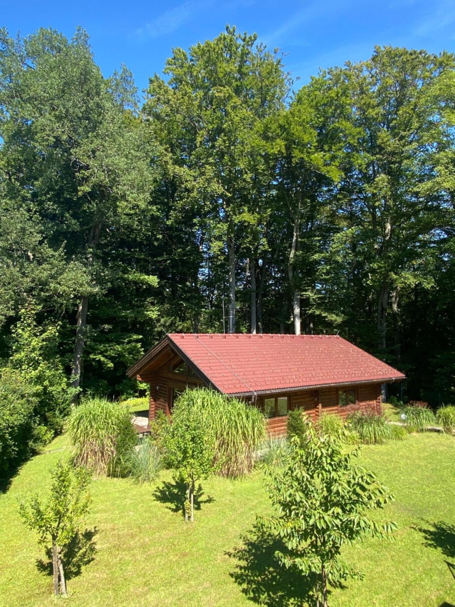 Huette Am Wald Villa Hof bei Salzburg Exterior foto