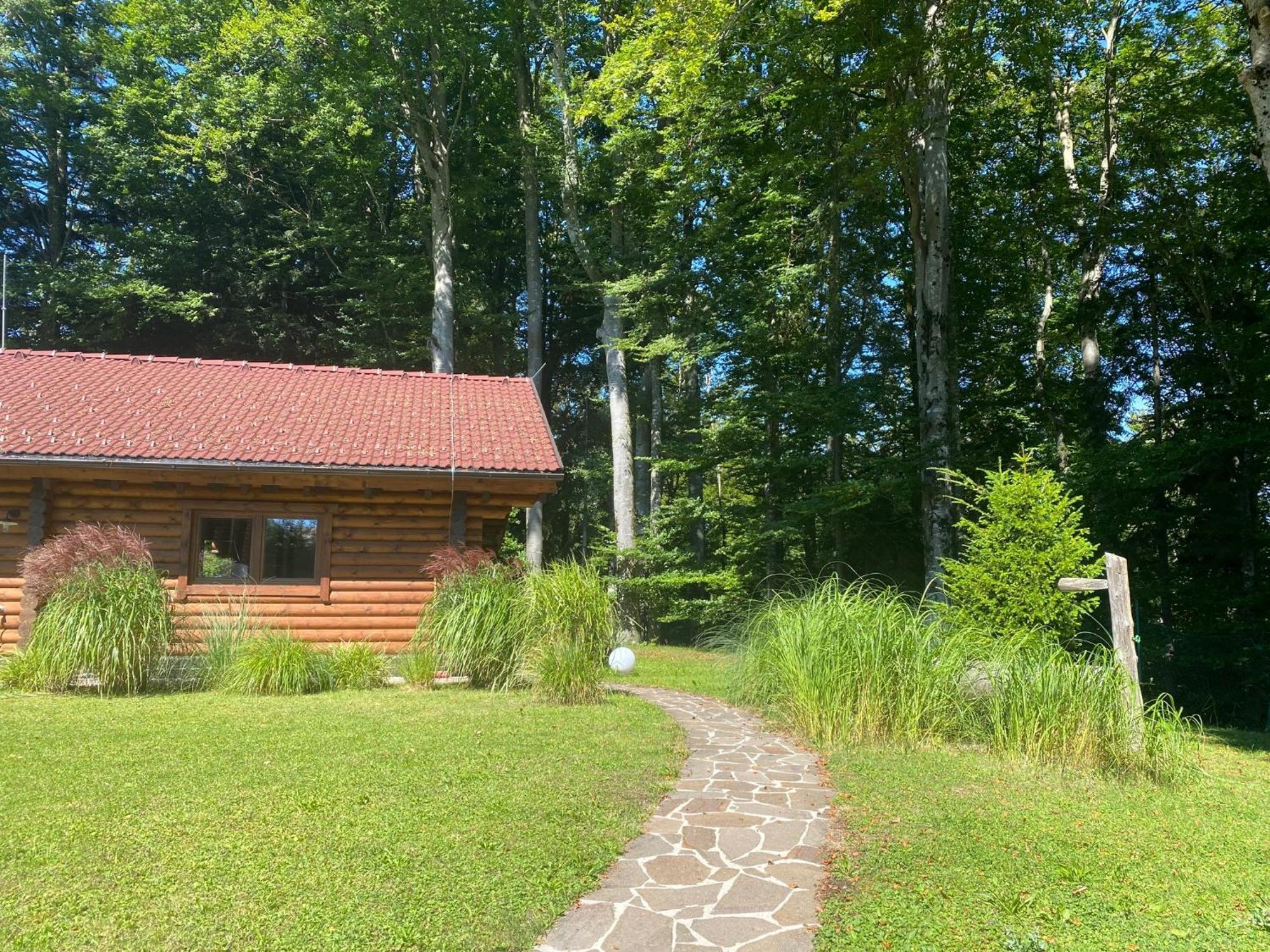 Huette Am Wald Villa Hof bei Salzburg Exterior foto