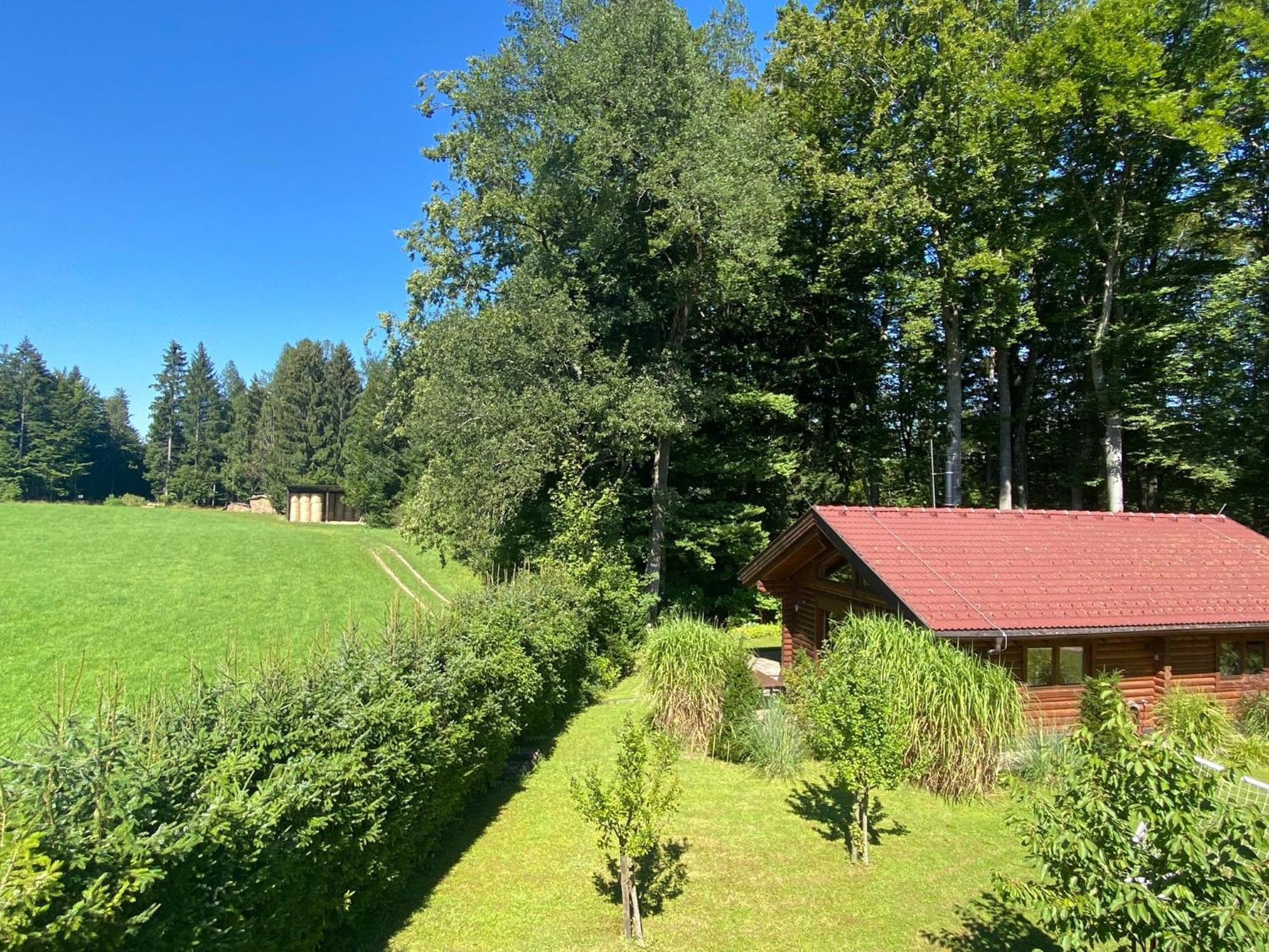 Huette Am Wald Villa Hof bei Salzburg Exterior foto